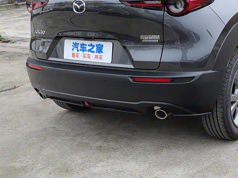 2021��  2.0L �Զ�������