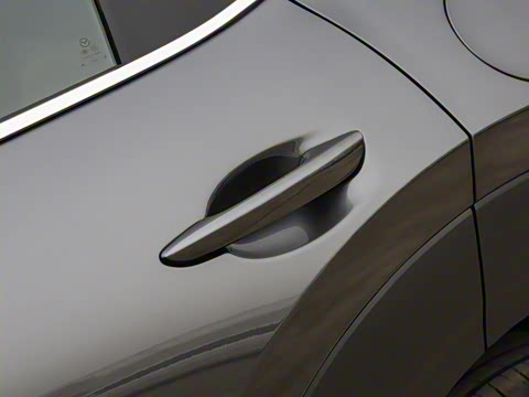 2021��  2.0L �Զ�������