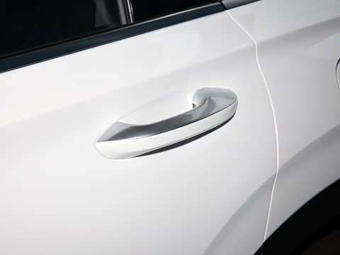 2020�� 380 TGDi �Զ�����DLX HTRAC�����