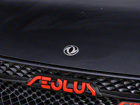 2021�� 230T �Զ�׷����ʿ��