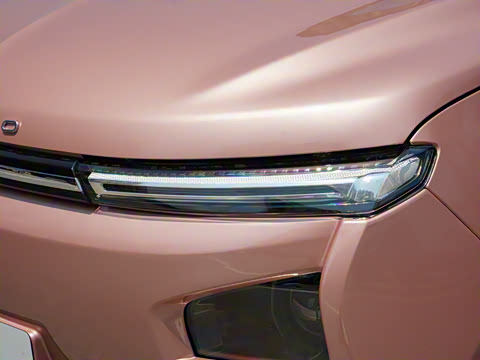 2021�� ������