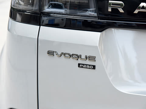 2021�� ����L 249PS R-Dynamic SE ������