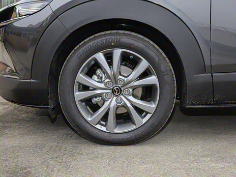 2021��  2.0L �Զ�������