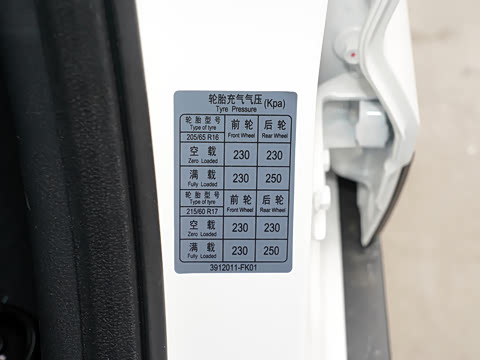 2021�� 2.0L �ֶ�������