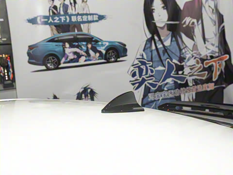 2021�� 230T �Զ�׷Ӱ��ʿ��