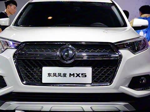 2016�� 2.0L �Զ��콢��