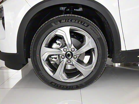 2021�� ���ݰ�