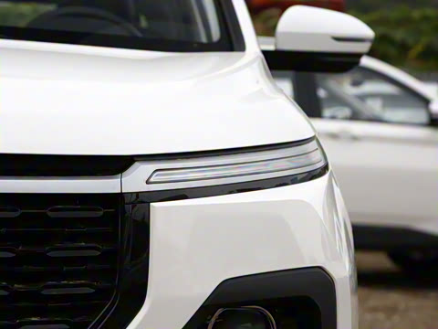 2021�� ȫ���������� 1.5T �ֶ������� 6��