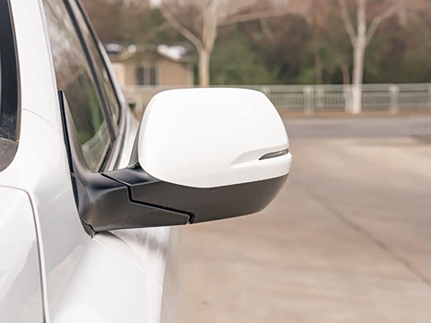 2021�� �񡤻춯 2.0L ����������