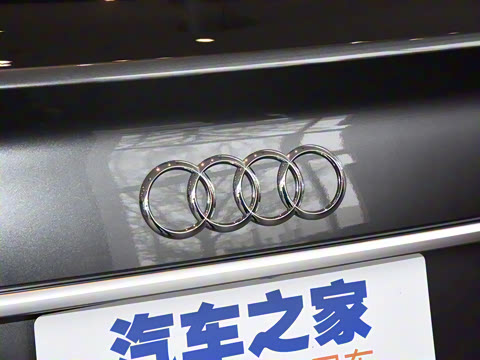 2021�� 45 TFSI ������