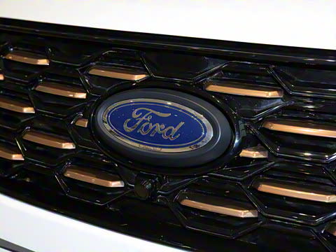 2020�� ������