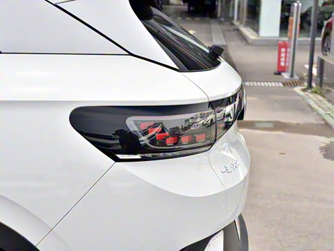 2021�� ������PURE+������