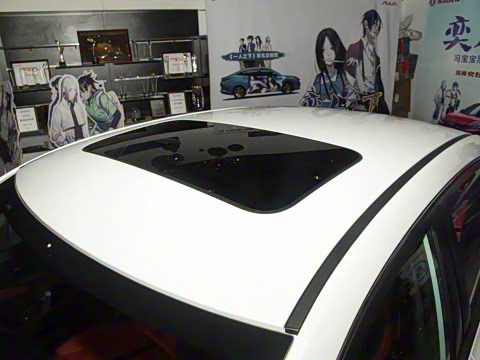 2021�� 230T �Զ�׷Ӱ��ʿ��