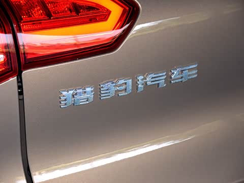 2015�� 2.0T �ֶ�׿Խ��