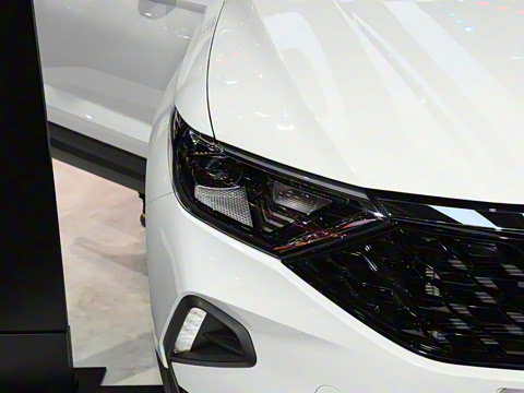 2021�� ��è�� 1.4T �Զ���ҫ��