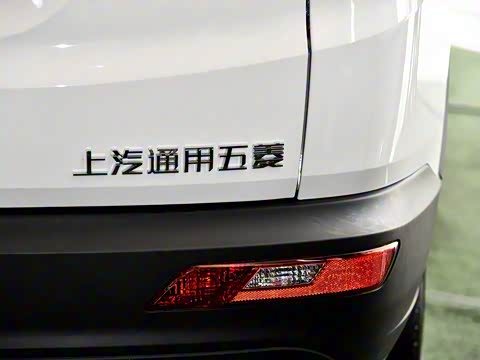 2018�� 1.5L �ֶ���׼�� ��V