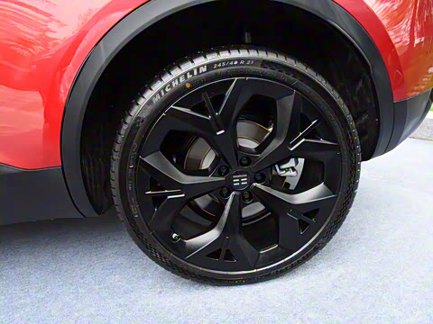 2021�� PLUS �������ư�