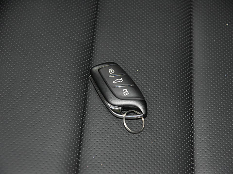 2021�� Pro 1.5T �Զ�Trophy�콢��