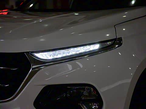 2017�� 1.5L �ֶ�������