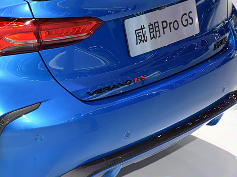 2022�� Pro GS �����