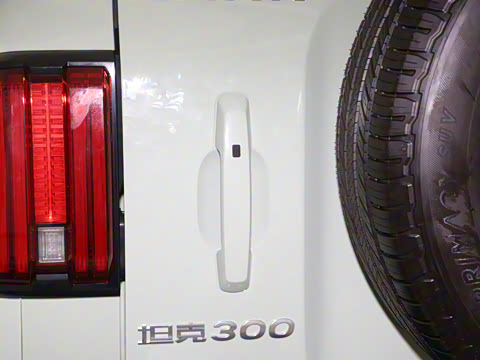 2021�� ���а� 2.0T ������