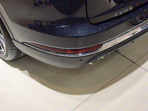 2021�� 3.0T V6 �������Ű�