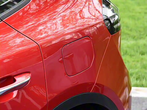 2021�� PLUS �������ư�