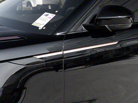 2017�� P380 R-DYNAMIC S