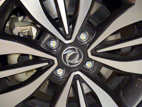 2016�� 1.5L �ֶ������