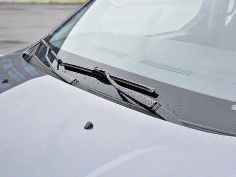 2021�� 1.5L �ͳ�����ʨ 7��