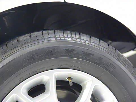 2016�� 2.0T �ֶ����