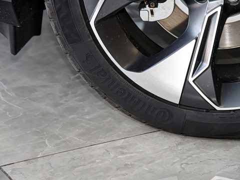 2021�� ������ 80 �����Ƽ���