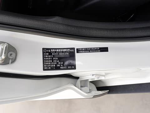 2021�� 2.0L �ֶ�������