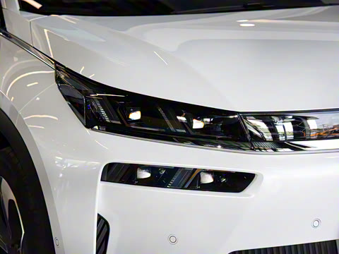 2021�� ������ 80 �����Ƽ���