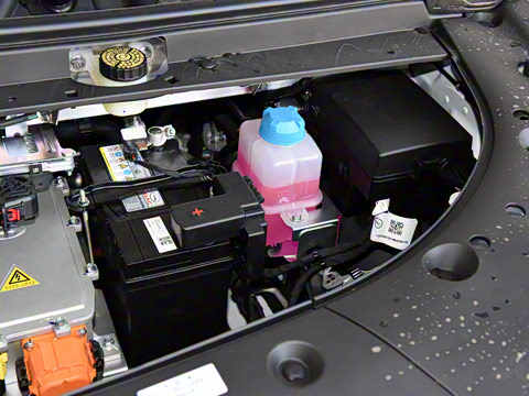 2021�� ������ 80 �����Ƽ���