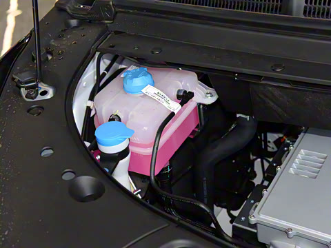 2021�� ������ 80 �����Ƽ���