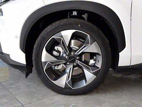 2021�� ������ 80 �����Ƽ���