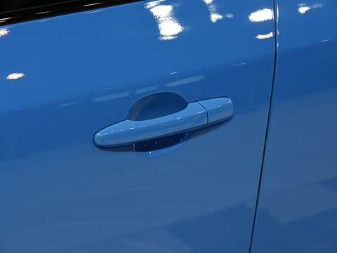 2017�� 2.0T Polestar