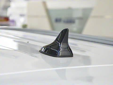 2020�� 1.5T �Զ���ɫ��