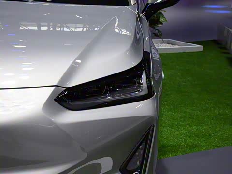 2019�� ������