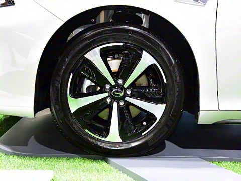 2019�� ������