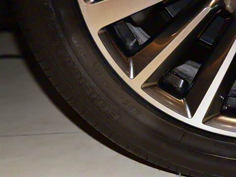 2019�� 2.0T ���Ű� ��VI