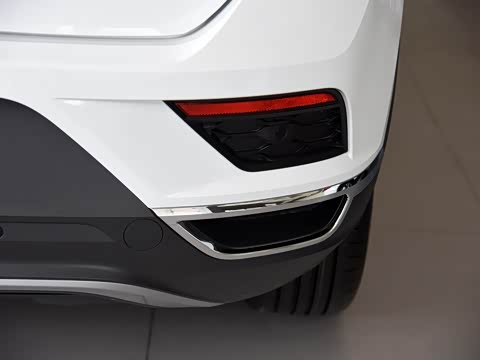 2019�� 230TSI DSG������ȡ�� ��VI