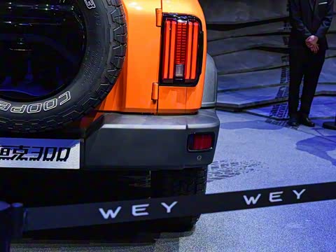 2021�� ԽҰ�� 2.0T ������