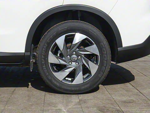 2021�� 270T �Զ�����������