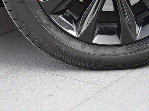 2019�� Redline 320T ˫���ˬ��� ��VI