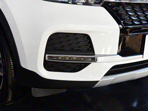 2019�� 1.5L �ֶ���Ȥ��