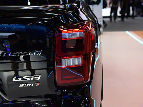 2020�� 390T ����������������棨������