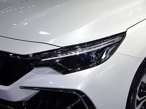 2019�� ������������