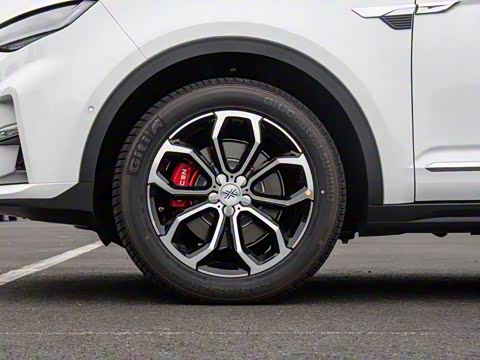 2019�� 2.0T �Զ��콢��